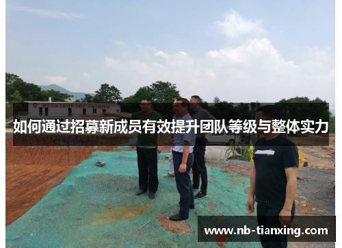 如何通过招募新成员有效提升团队等级与整体实力